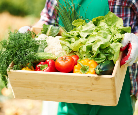 Eine Person in Arbeitskleidung hält eine Holzkiste, die mit verschiedenem Gemüse gefüllt ist. 
