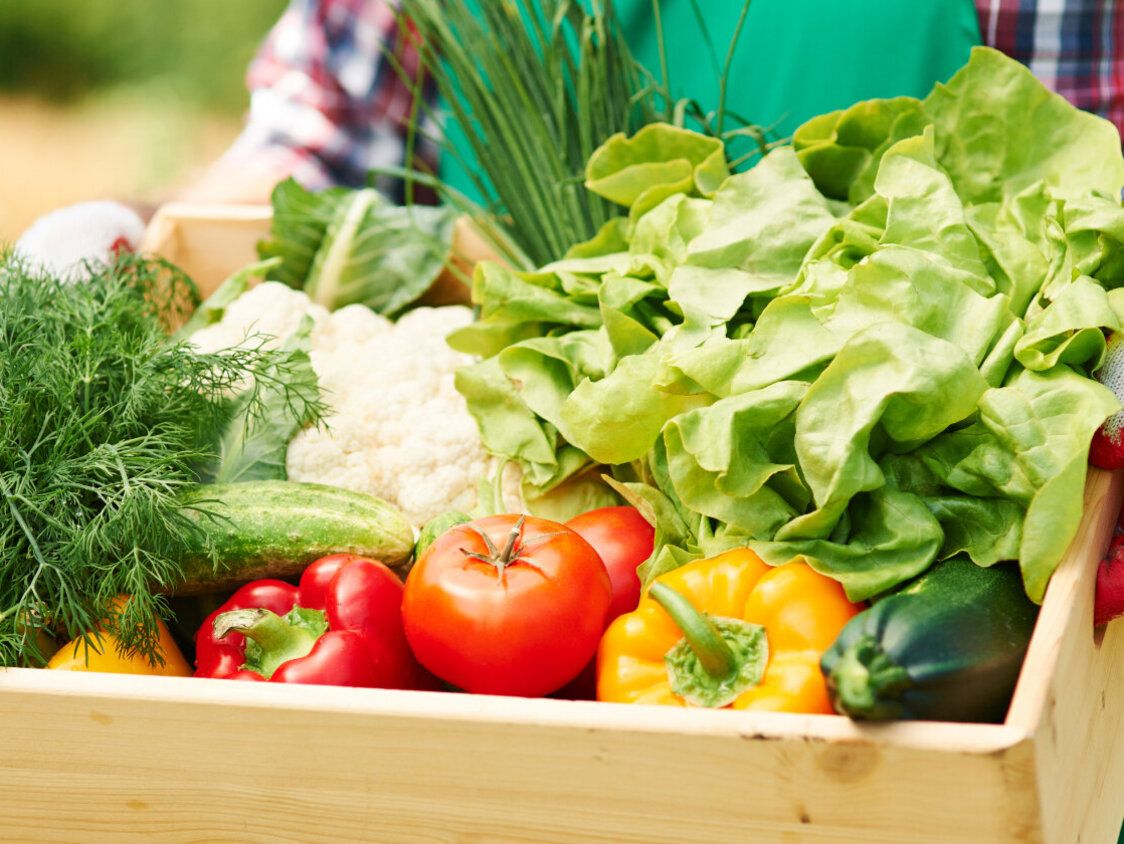 Eine Person in Arbeitskleidung hält eine Holzkiste, die mit verschiedenem Gemüse gefüllt ist. 