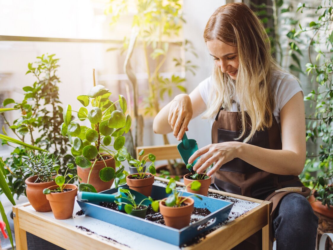 Eine Frau topft kleine Pflanzen auf ihrem Balkon ein.