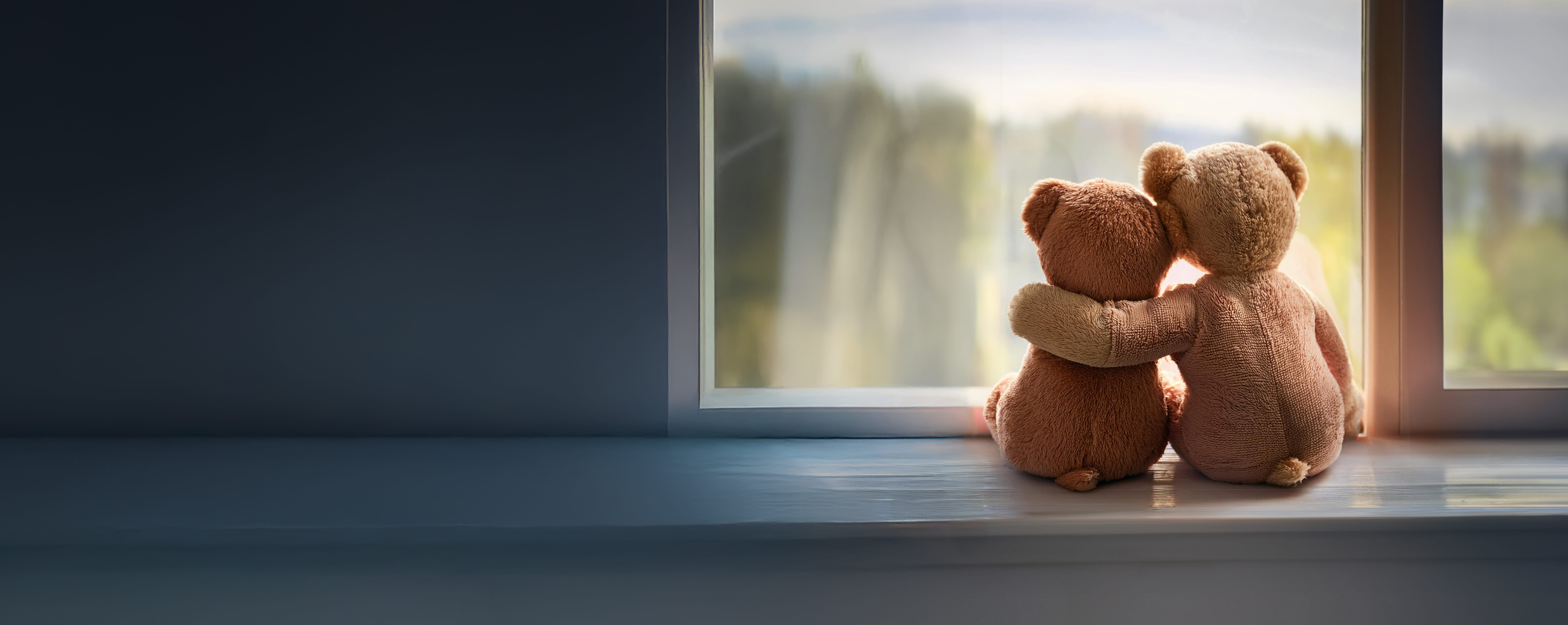 Zwei Teddys sitzen vor einem Fenster und umarmen sich.