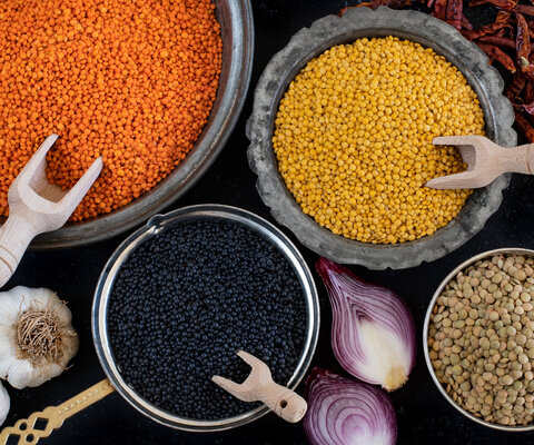 verschiedene Linsensorten