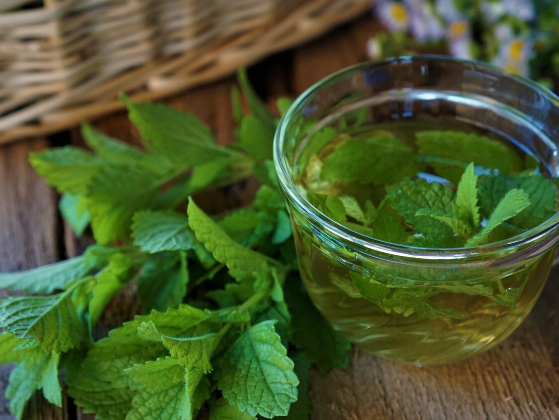 Eine Glastasse mit frischem Pfefferminztee, daneben frische Minze und ein Korb.