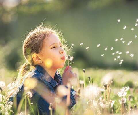 Ein Kind steht auf einer Wiese und pustet die Samen einer Pusteblume weg.