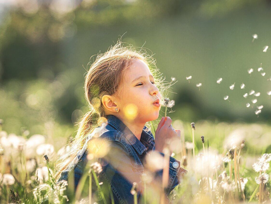 Ein Kind steht auf einer Wiese und pustet die Samen einer Pusteblume weg.