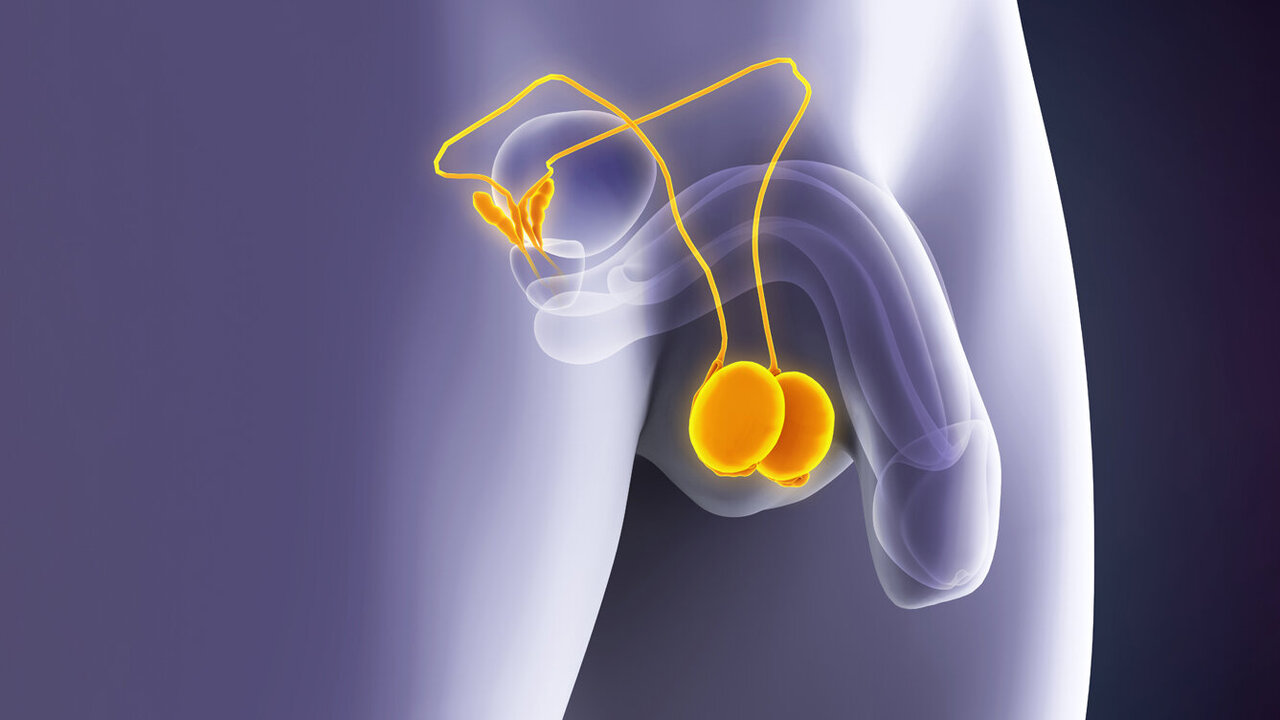 Hodenkrebs erkennen Tipps zum SelbstAbtasten hkkmagazin