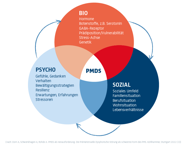 Darstellung zu Auswirkungen von PMS : Sozial, Psycho, Bio