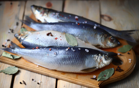 Vier frische Heringe auf einem Holzbrett, die mit grobem Salz, rotem und schwarzen Pfeffer und Lorbeerblättern bestreut wurden.