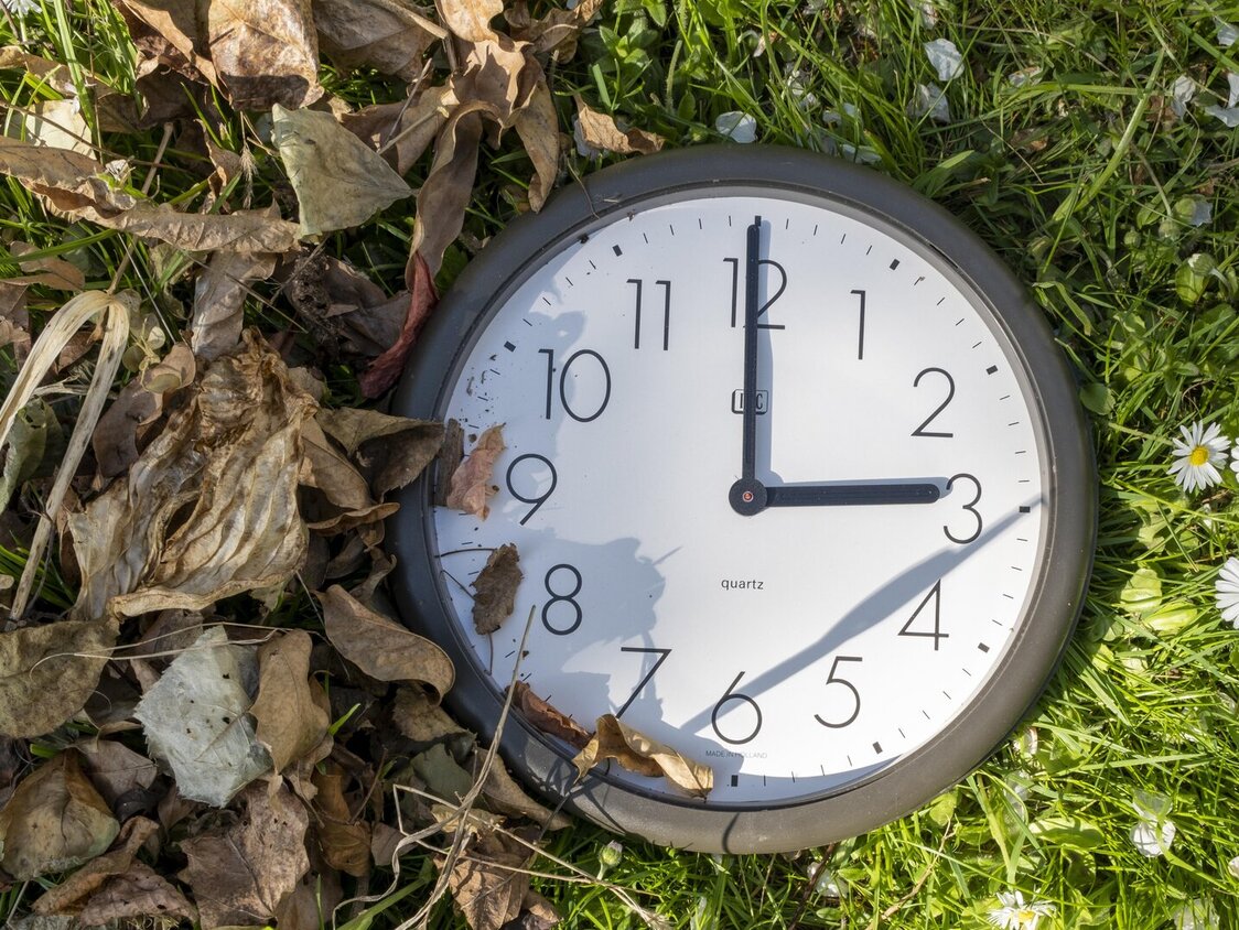 Eine Uhr steht auf 3 Uhr. Links davon sind herbstliche Blätter und auf der rechten Seite Gänseblümchen.