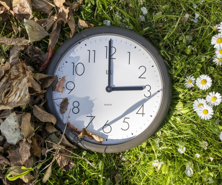 Eine Uhr steht auf 3 Uhr. Links davon sind herbstliche Blätter und auf der rechten Seite Gänseblümchen.