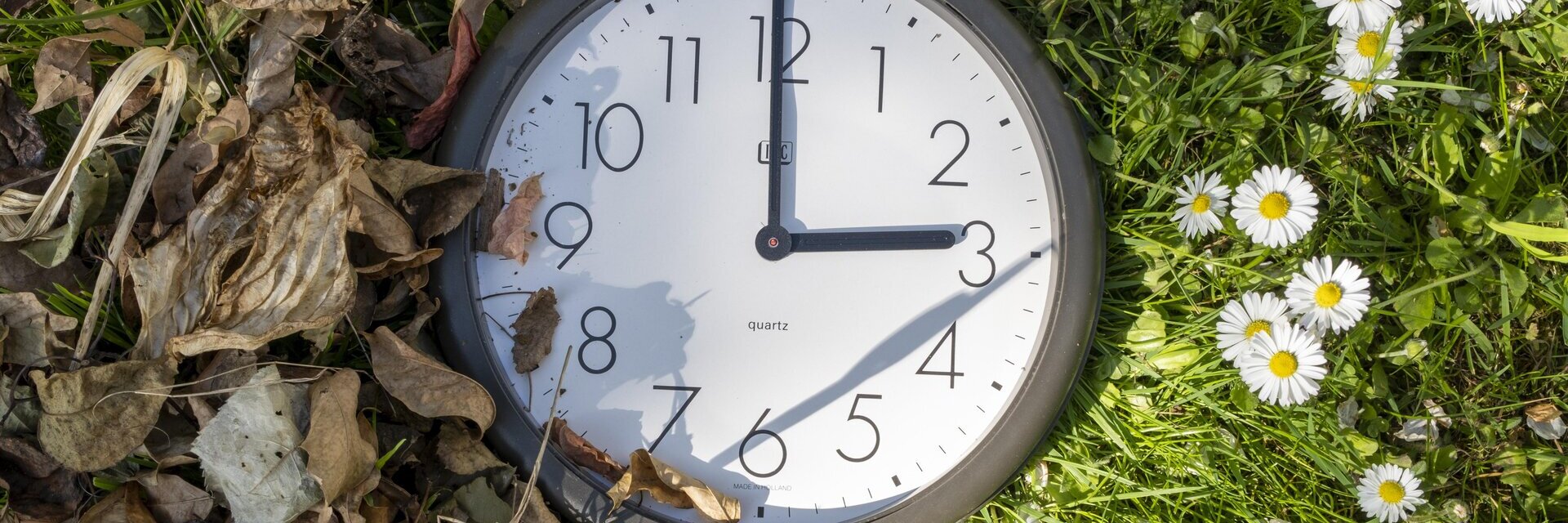 Eine Uhr steht auf 3 Uhr. Links davon sind herbstliche Blätter und auf der rechten Seite Gänseblümchen.