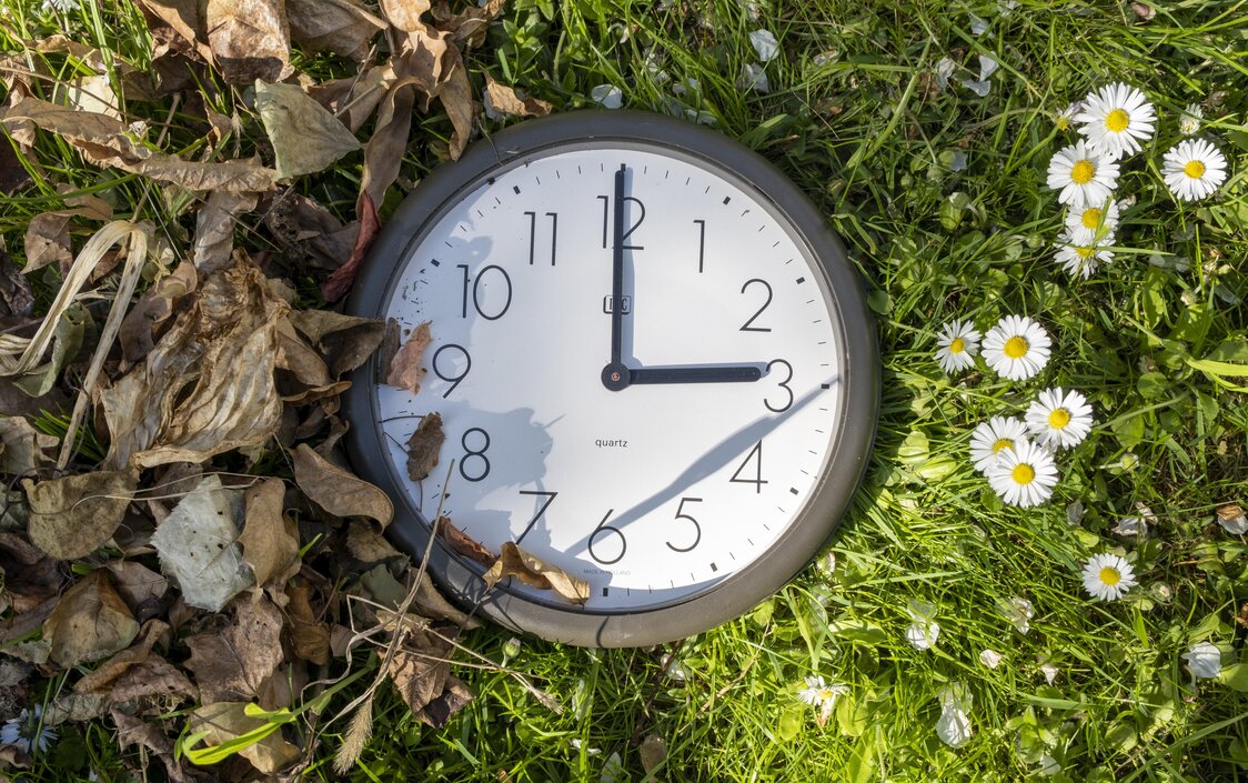 Eine Uhr steht auf 3 Uhr. Links davon sind herbstliche Blätter und auf der rechten Seite Gänseblümchen.