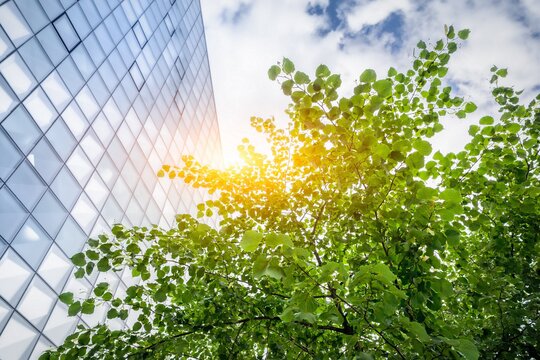 Ein Hochhaus, über welchem die Sonne scheint, davor ein Baum. Der blaue Himmel und die Wolken spiegeln sich in den Fernstern.