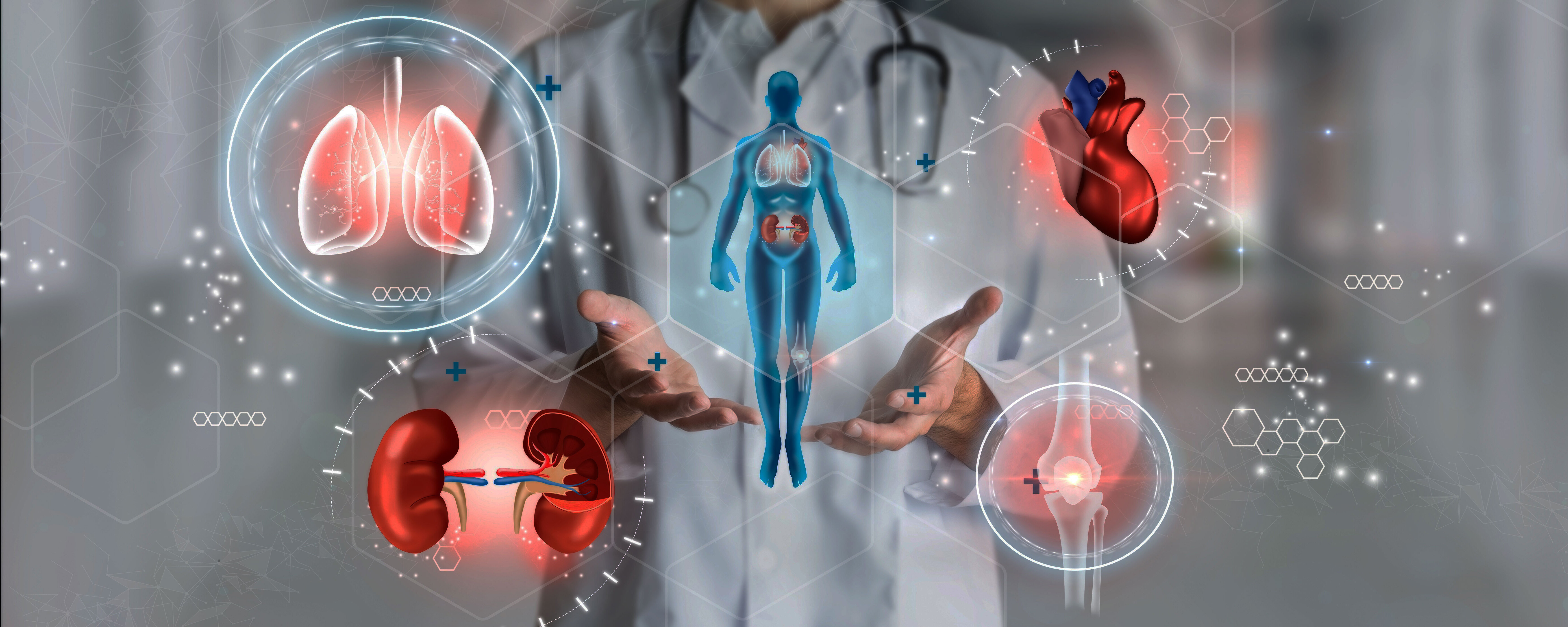 Ein Arzt zeigt virtuell den Körper und einige Organe.