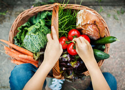 Eine Frau platziert eine Rispe Tomaten in einem Erntekorb, in dem sich bereits einiges an frischem Gemüse befindet. 