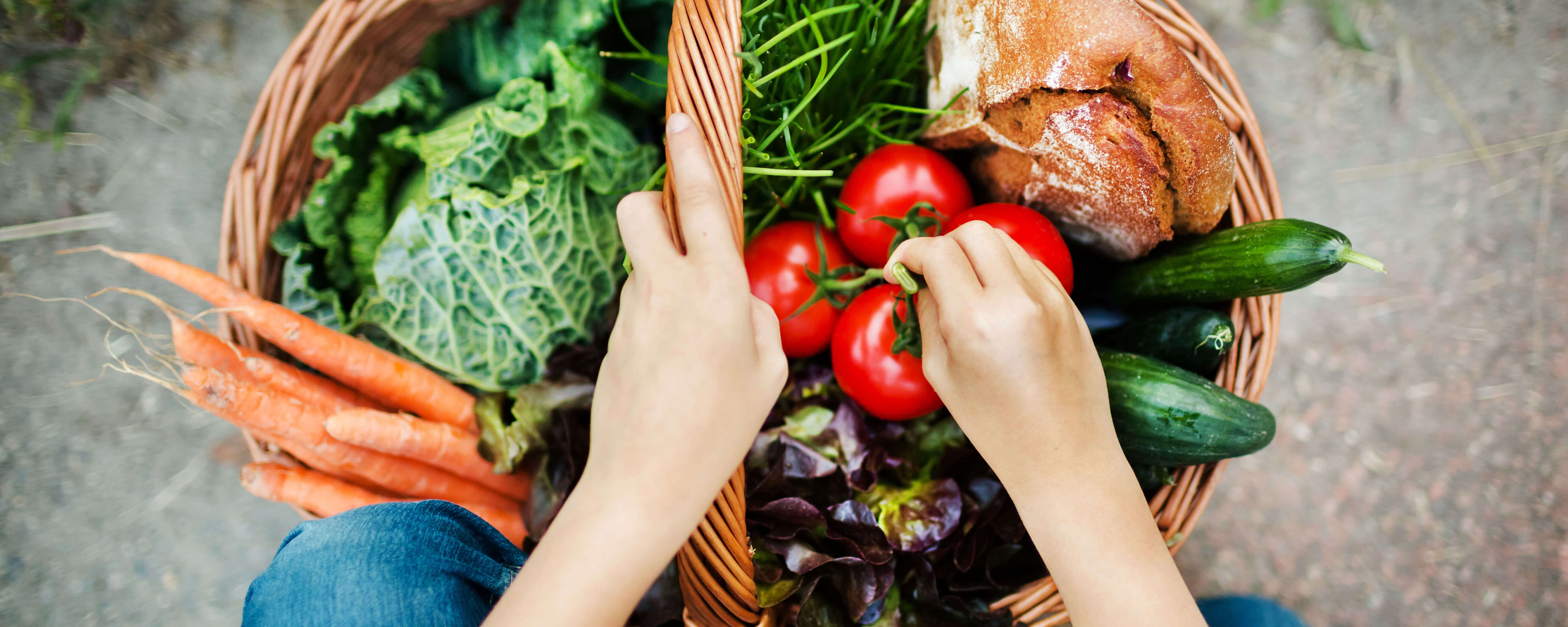 Eine Frau platziert eine Rispe Tomaten in einem Erntekorb, in dem sich bereits einiges an frischem Gemüse befindet. 