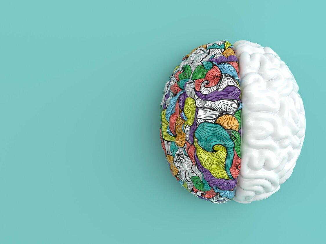 Das Modell eines Gehirns, die linke Hirnhälfte in weiß, die rechte farbig. Es liegt auf einem blauen Untergrund.