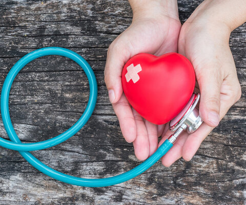 Hände mit Plastikherz und Stethoskop