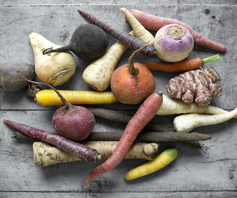 Es sind alte Gemüsesorten, wie Pastinaken, Topinambur und Steckrüben abgebildet.