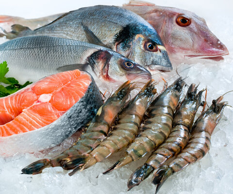 Auf Eis liegen einige Garnelen, ein Stück Lachs-Steak, eine Wolfsbarsch, eine Goldbrasse und eine Meerbarbe.