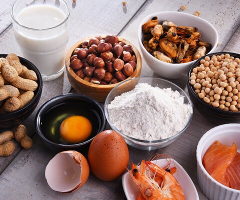 In Schalen sind Nahrungsmittel, wie Nüsse, Mehl, Eier und Lachs abgebildet.