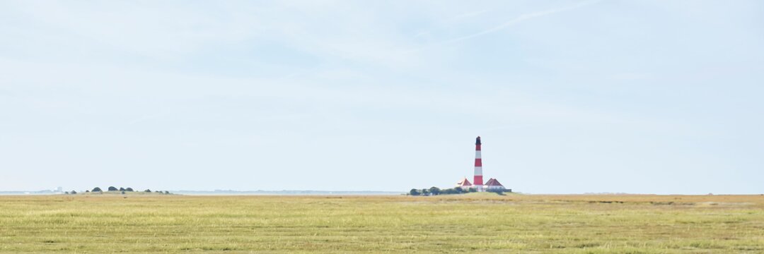 Eine Wiese und im Hintergrund ein Leuchtturm.