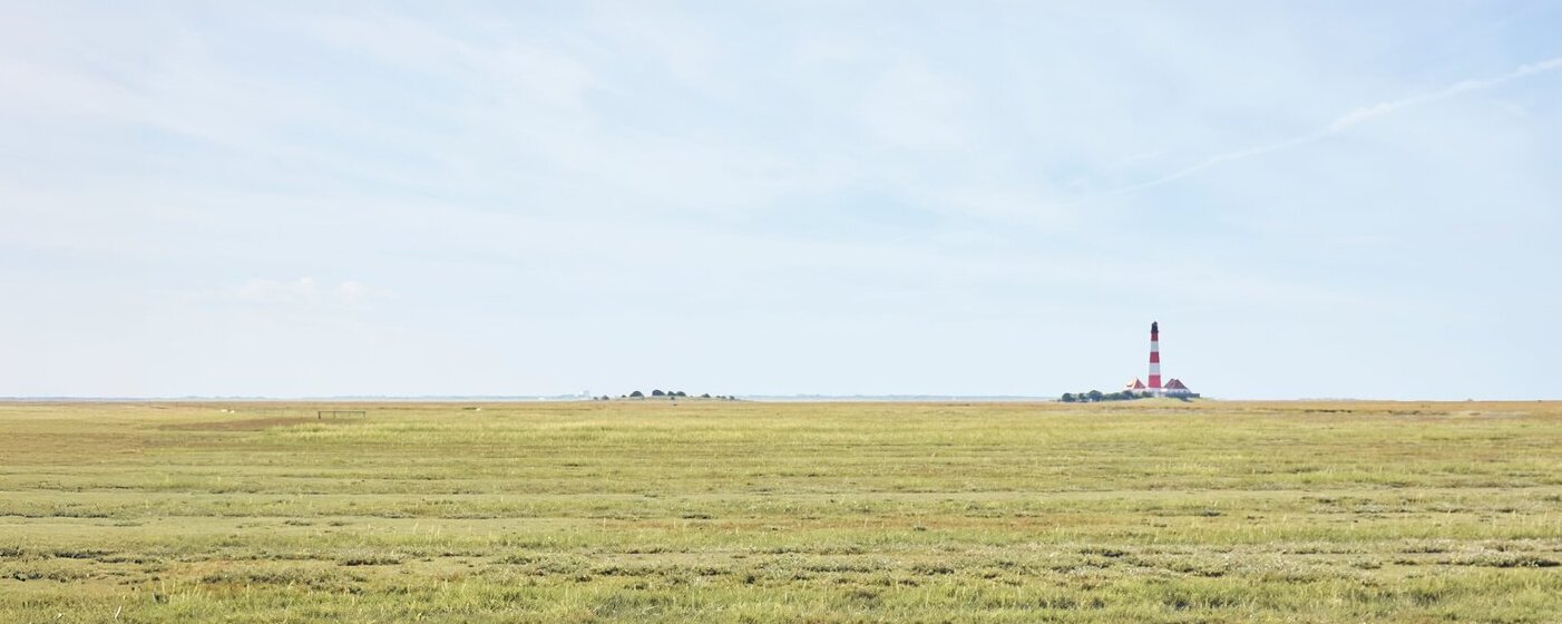 Eine Wiese und im Hintergrund ein Leuchtturm.