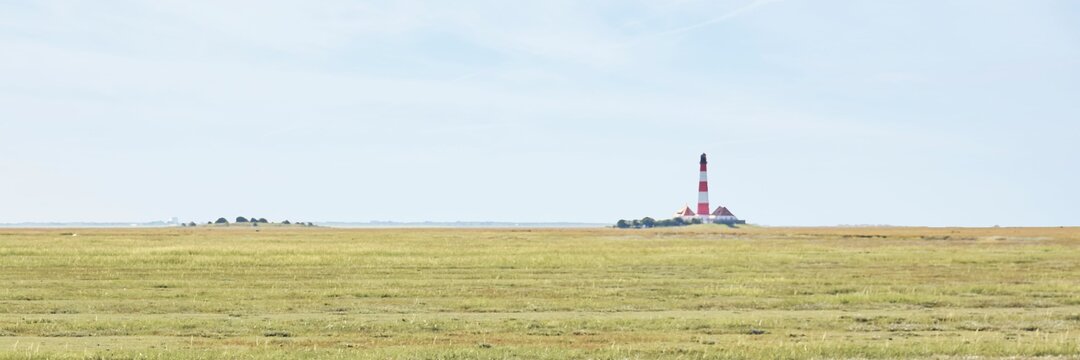 Eine Wiese und im Hintergrund ein Leuchtturm.