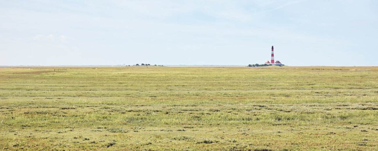 Eine Wiese und im Hintergrund ein Leuchtturm.