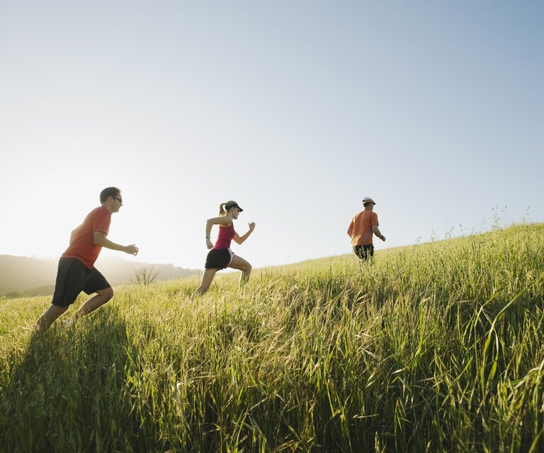 Eine Frau und zwei Männer in Sportkleidung joggen auf einem Pfad durch ein Getreidefeld.