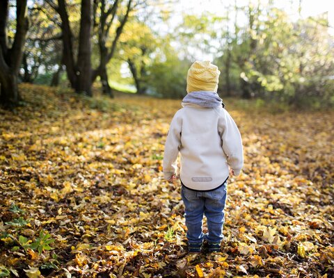 Ein Kleinkind läuft mit Mütze durch das Laub eines Waldes.