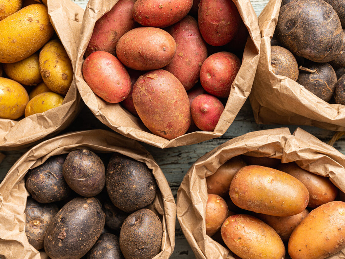 Verschiedene Sorten Kartoffeln in den Farben gelb, rot, lila in Papiertüten. 