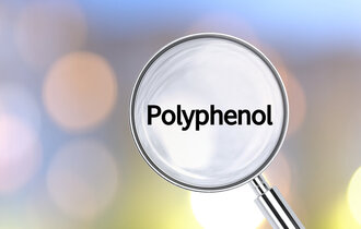 Eine Lupe, welche das Wort Polyphenol betrachtet.
