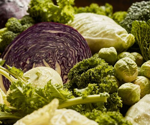 Es sind verschiedene Kohl-Sorten, wie Grünkohl, Rotkohl und Rosenkohl, abgebildet.