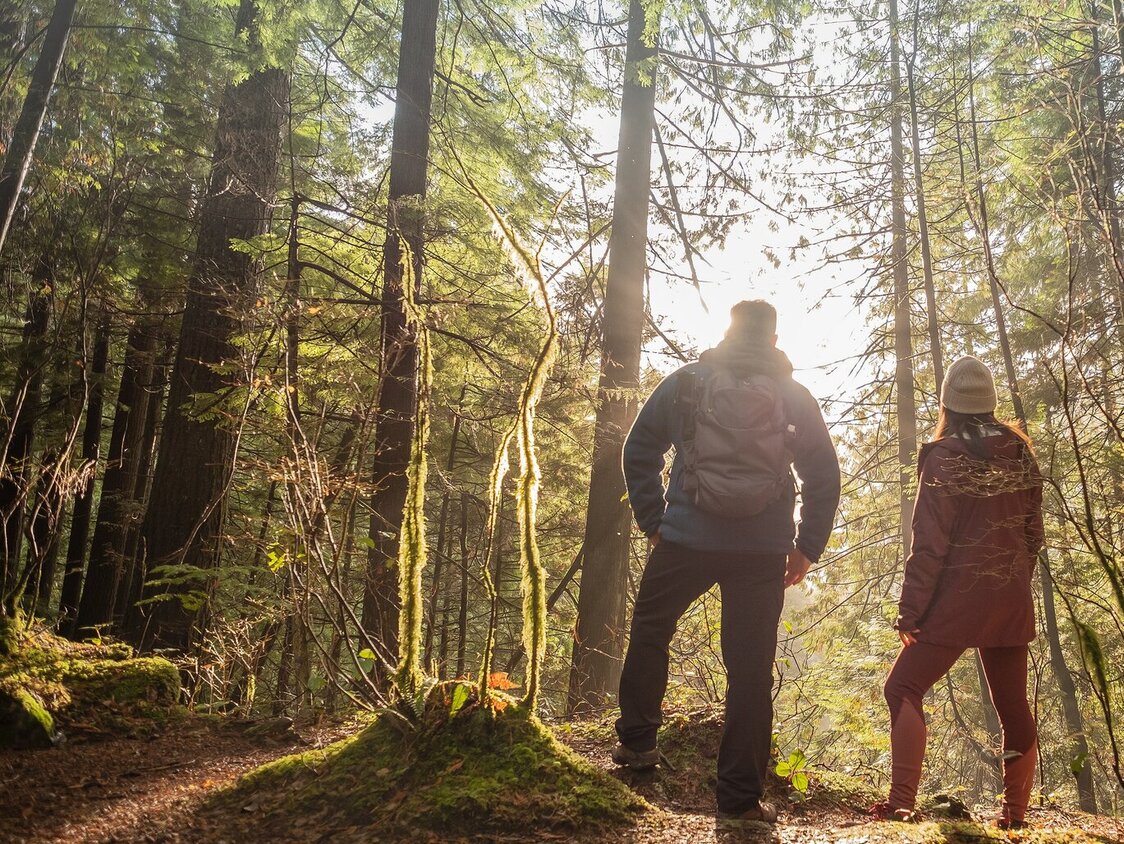 Eine Frau und ein Mann stehen im Wald und die Sonne scheint durch die Bäume.