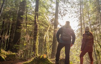 Eine Frau und ein Mann stehen im Wald und die Sonne scheint durch die Bäume.