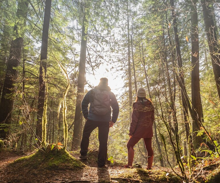 Eine Frau und ein Mann stehen im Wald und die Sonne scheint durch die Bäume.