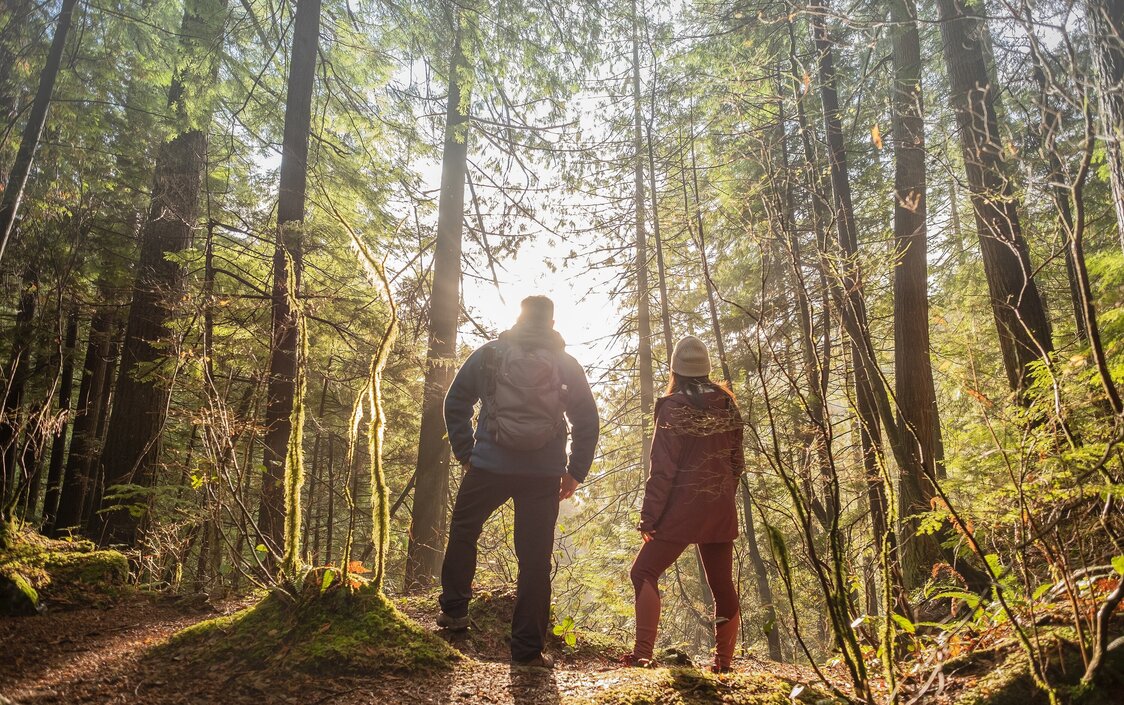 Eine Frau und ein Mann stehen im Wald und die Sonne scheint durch die Bäume.