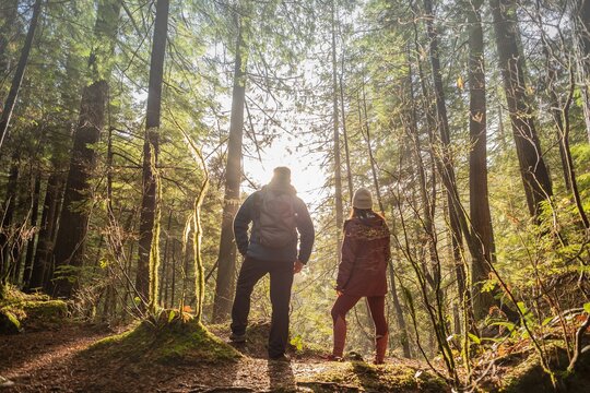 Eine Frau und ein Mann stehen im Wald und die Sonne scheint durch die Bäume.