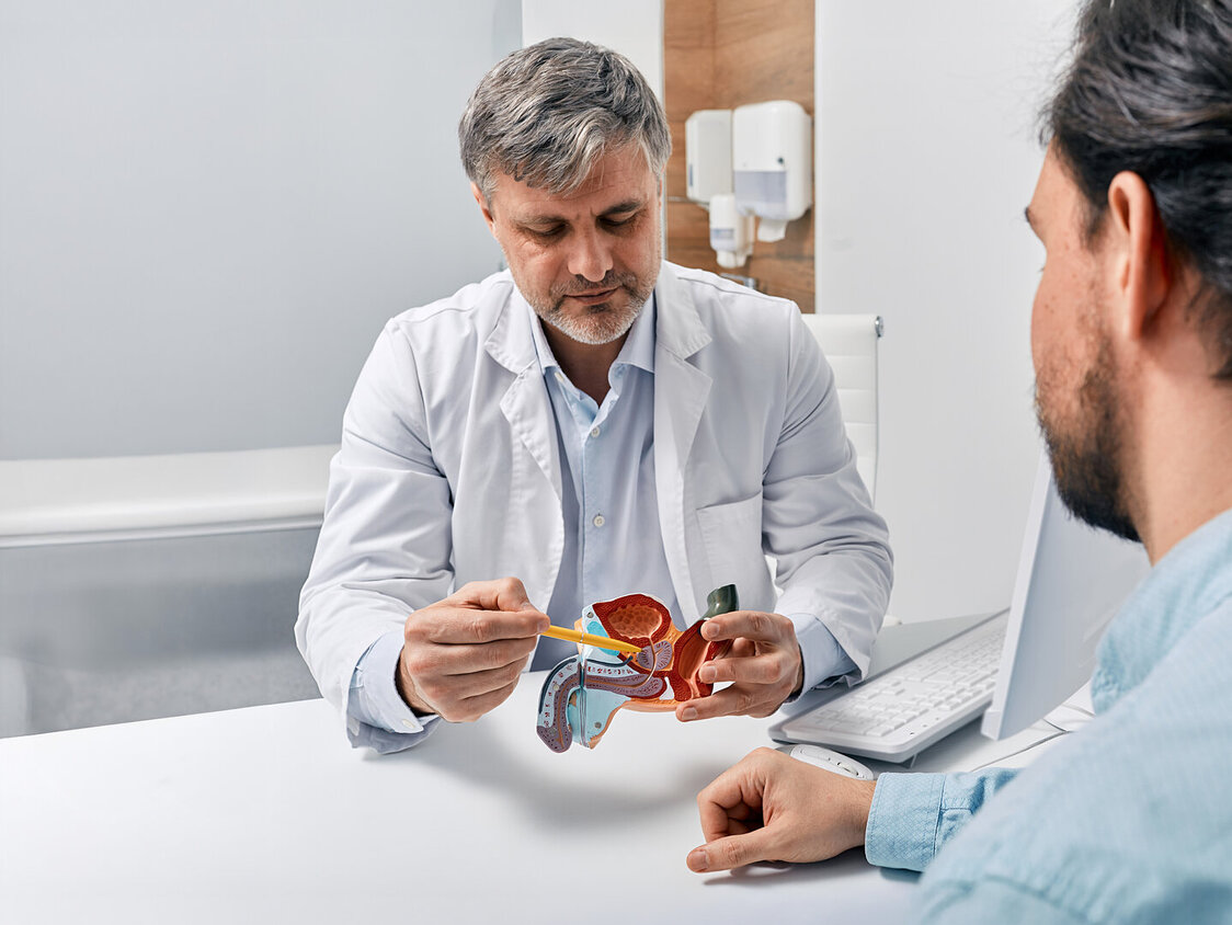 Arzt Urologe, der Patienten mit Prostatitis berät, erklärt ihm Behandlungsmethoden anhand des anatomischen Modells des männlichen Fortpflanzungssystems.