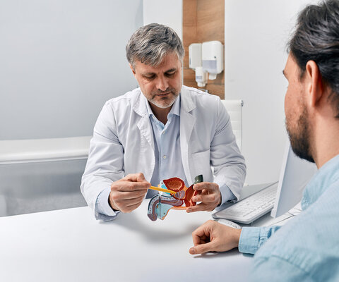 Arzt Urologe, der Patienten mit Prostatitis berät, erklärt ihm Behandlungsmethoden anhand des anatomischen Modells des männlichen Fortpflanzungssystems.