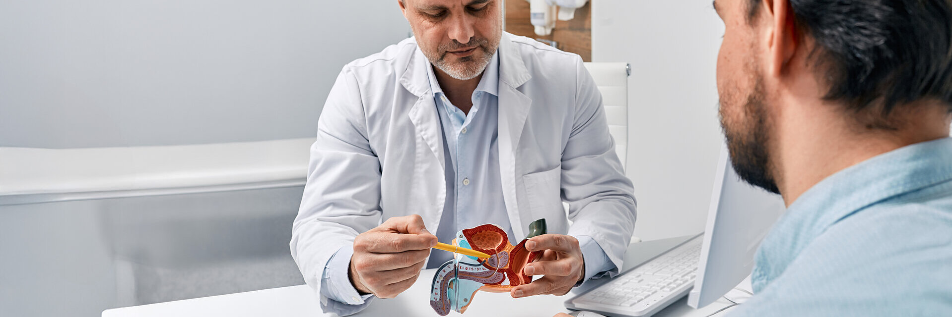 Arzt Urologe, der Patienten mit Prostatitis berät, erklärt ihm Behandlungsmethoden anhand des anatomischen Modells des männlichen Fortpflanzungssystems.