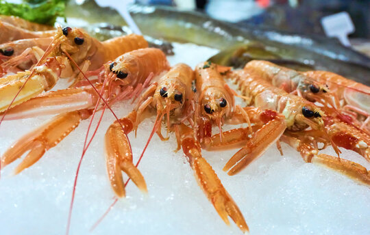 Nahaufnahme von einigen Scampi auf Eis, im Hintergrund frische Fische.