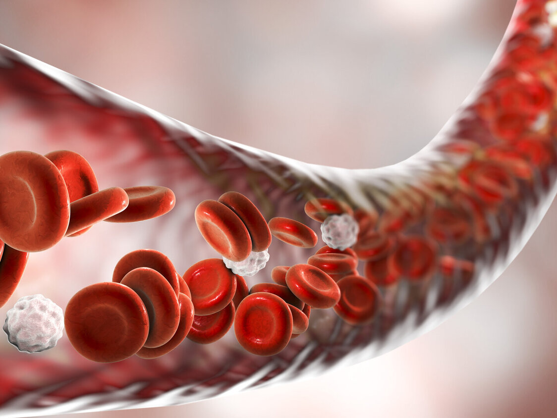 Eine illustrierte durchsichtige Ader mit roten Blutplättchen wird gezeigt.