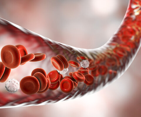 Eine illustrierte durchsichtige Ader mit roten Blutplättchen wird gezeigt.