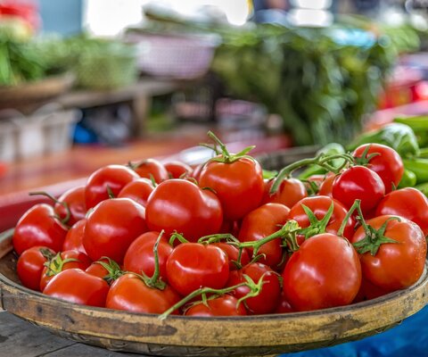 Eine Schalte mit Tomaten.