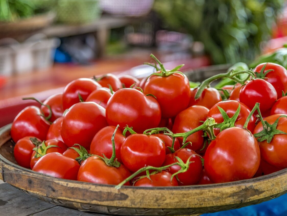 Eine Schalte mit Tomaten.