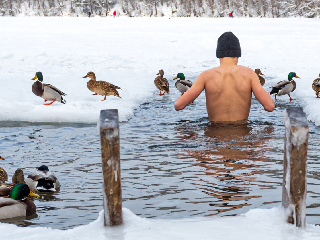 Ein Mann watet ins Wasser, welches von Schnee umgeben ist. Enten befinden sich auf dem Wasser sowie im Hintergrund.
