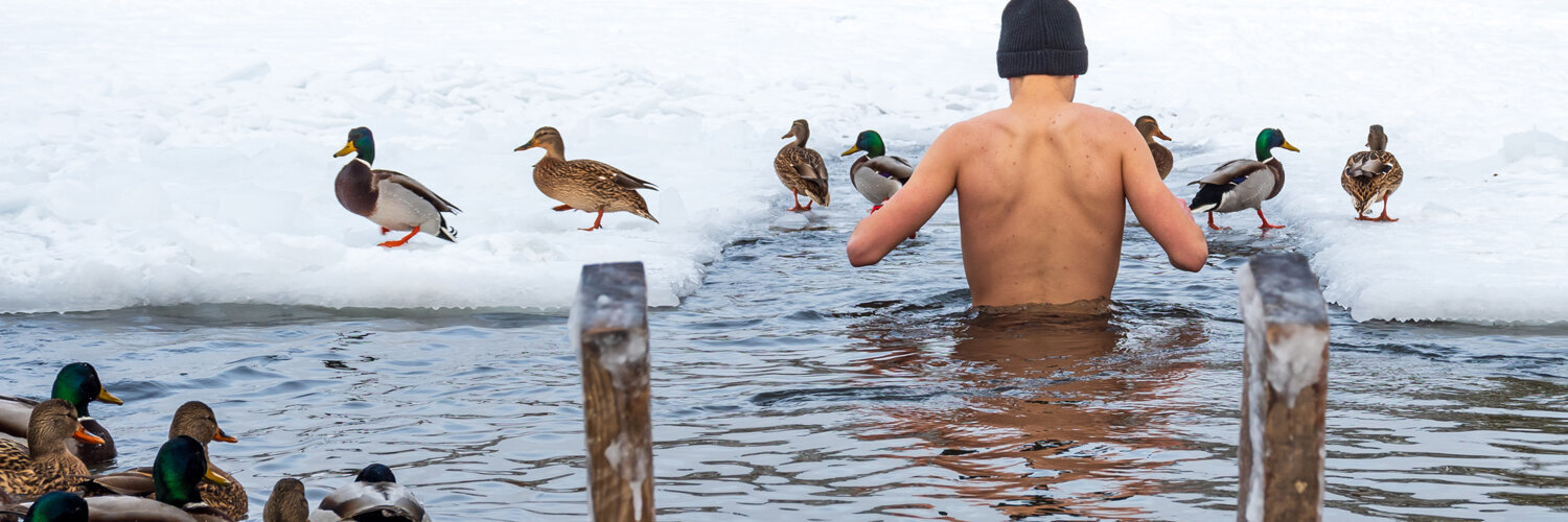Ein Mann watet ins Wasser, welches von Schnee umgeben ist. Enten befinden sich auf dem Wasser sowie im Hintergrund.
