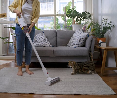 Frau reinigt den Teppich in einem Wohnzimmer mit einem Staubsauger. Eine Katze schaut zu.