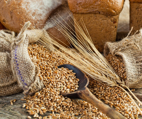 Verschiedene Getreidesorten in Säcken, dahinter Brot.